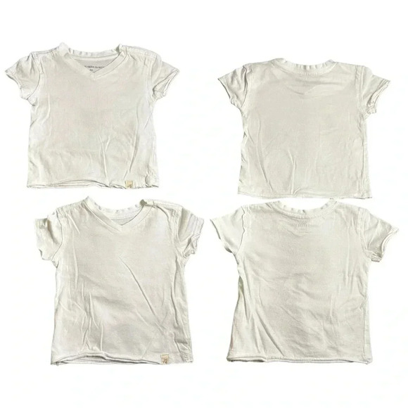 6-9Months Toddler Boys Clothes 9 Piece Bundle-Tshirts, Shorts, Burt’s Bees, Polo - Picture 5 of 16